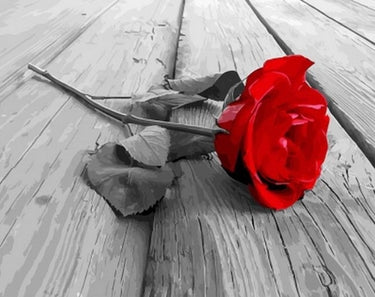 Schilderen op Nummer Bloemen PBN255